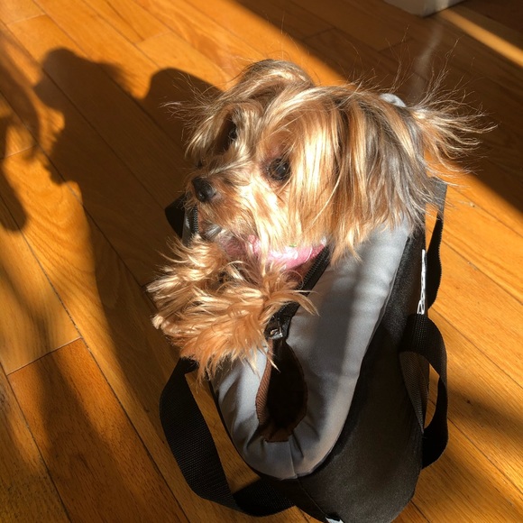 Hey! - Picture 4 of 4